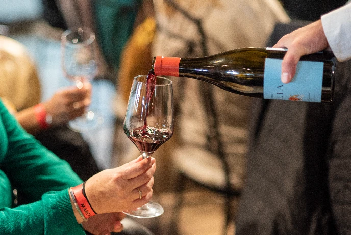 D.O. Madrid: Villages & Wineries